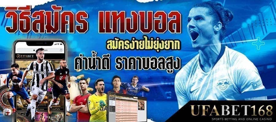 เว็บบอลค่าคอมสูง
